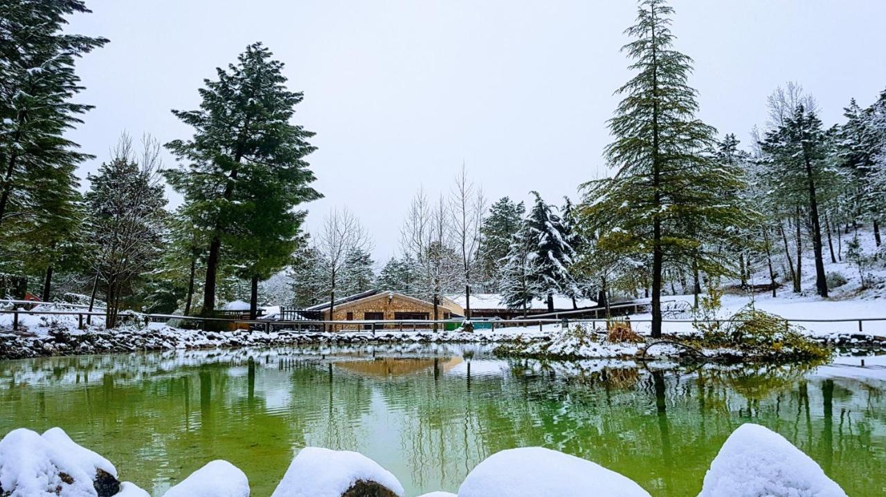 Lujo En Zafiro Lagunazo 5 O 3 Y 3 Banos Parque Natural Del Rio Mundo *