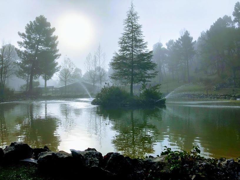 Chalet Lujo En Zafiro Lagunazo 5 O 3 Y 3 Banos Parque Natural Del Rio Mundo *