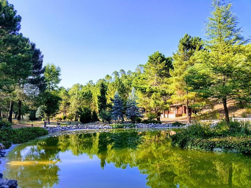 Chalet Lujo En Zafiro Lagunazo 5 O 3 Y 3 Banos Parque Natural Del Rio Mundo *