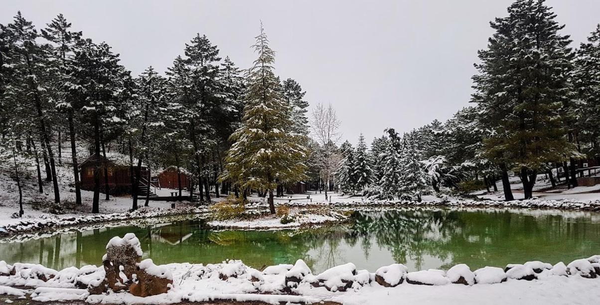 Lujo En Zafiro Lagunazo 5 O 3 Y 3 Banos Parque Natural Del Rio Mundo