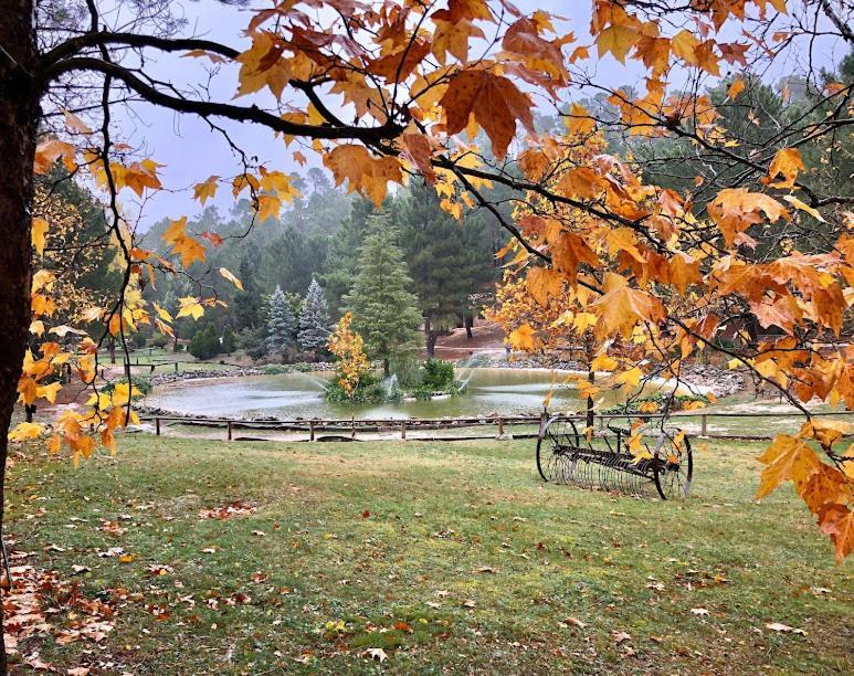 Lujo En Zafiro Lagunazo 5 O 3 Y 3 Banos Parque Natural Del Rio Mundo Chalet Riopar
